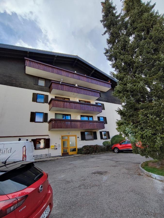 Alpine Lodge Apartment Zell am See Zewnętrze zdjęcie
